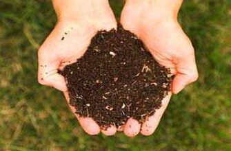 Количество органических удобрений необходимое для востановления гумуса в почве
