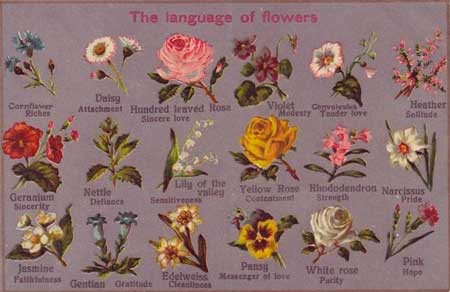 Язык цветов - создания сюжетных цветочных композиций
