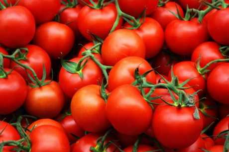 Полезные советы о выращивании помидор
